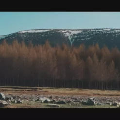 Sur-Ron SurRon Storm Bee MX Electric Dirt Bike -ShopE-Moto Shop 0264bfd2f7904d53a30556d3ddacc86f.thumbnail.0000000 1800x1800