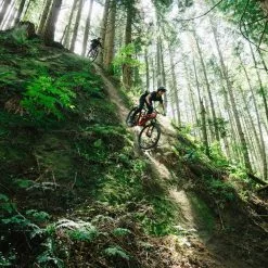 Transition Patrol Carbon Bikes [Size: Medium] [Parts Kit: GX] [Colour: Moonshadow] -ShopE-Moto Shop 5135 5