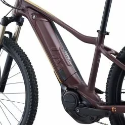 Liv Tempt E+ 1 2022 - Figuier -ShopE-Moto Shop eslz8t05nz6vsxpvlef3