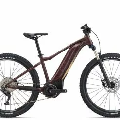 Liv Tempt E+ 1 2022 - Figuier