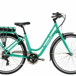 Shogun SB100 Low Step - Mint