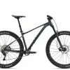 Giant Fathom 29 2 2023 - Black Diamond