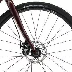 Liv Alight 3 Disc 2022 - Figuier -ShopE-Moto Shop z8prlvvoycmwpniqyffj